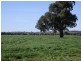 459 Temora Road, Junee NSW 2663