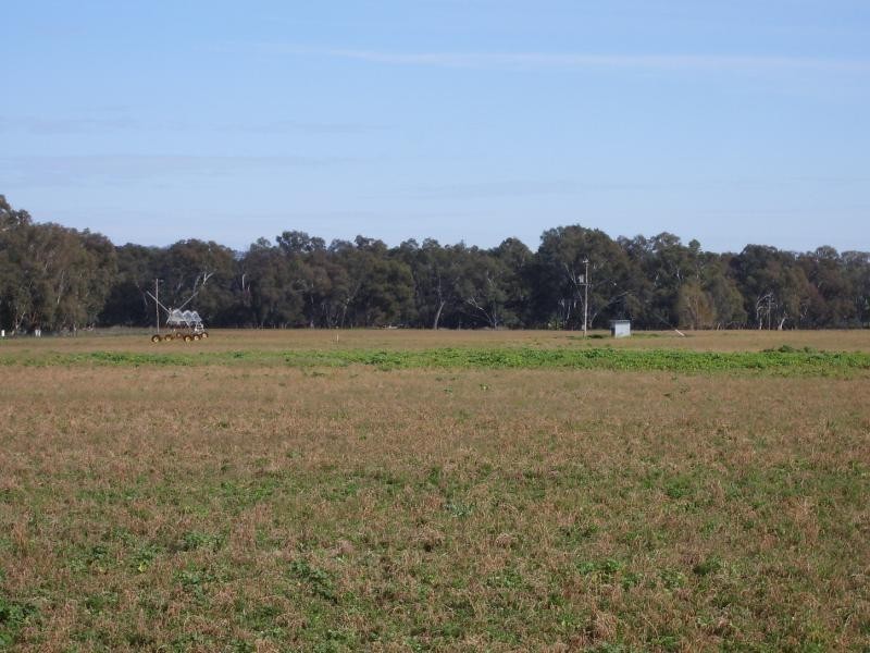 Wagga Wagga NSW 2650