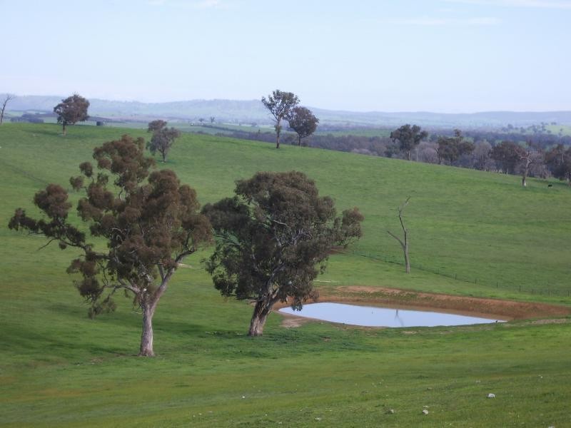 Wagga Wagga NSW 2650