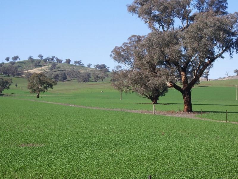 Wagga Wagga NSW 2650