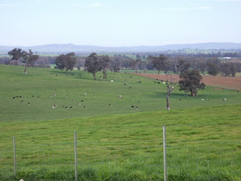 Wagga Wagga NSW 2650