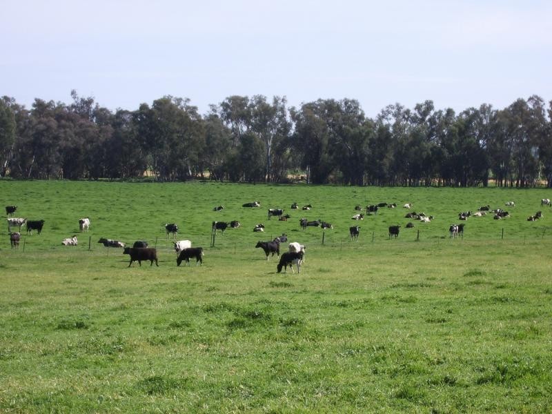 Wagga Wagga NSW 2650