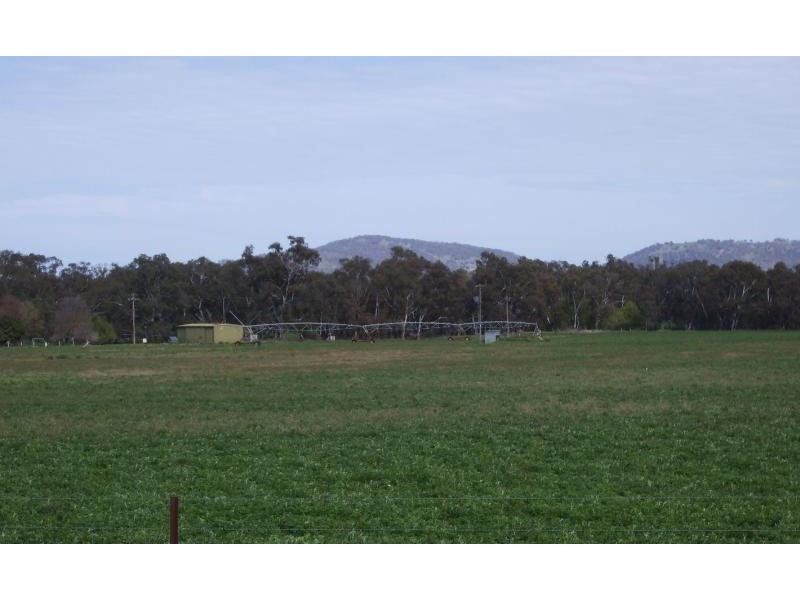 Wagga Wagga NSW 2650