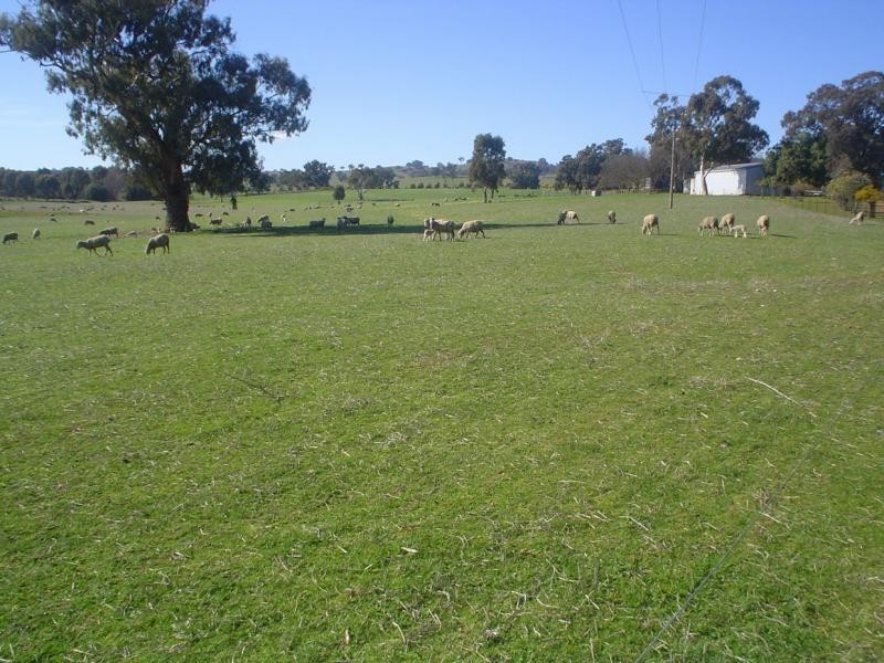 Wagga Wagga NSW 2650
