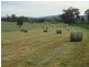Wagga Wagga NSW 2650