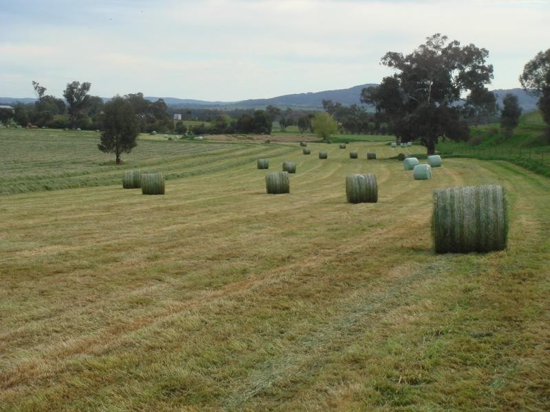 Wagga Wagga NSW 2650
