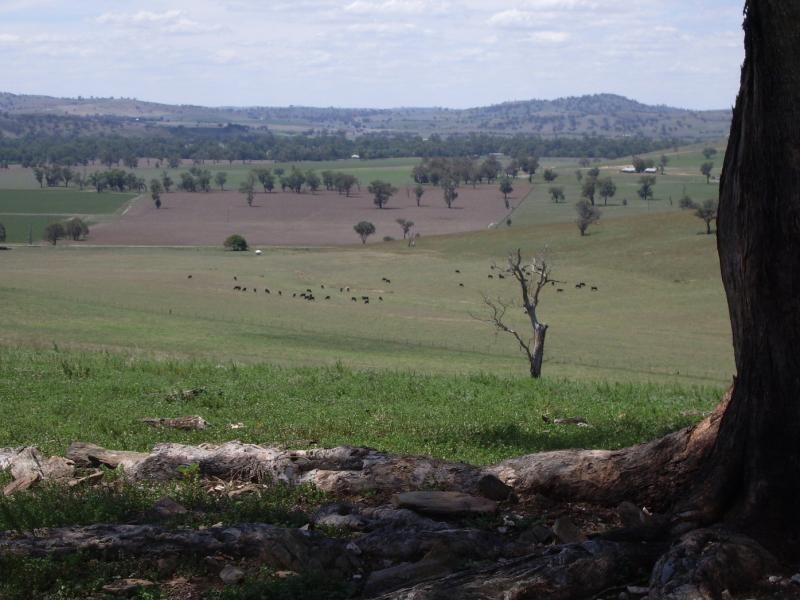 250 Wokolena Road, Wagga Wagga NSW 2650