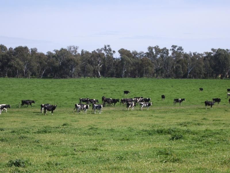 Wagga Wagga NSW 2650