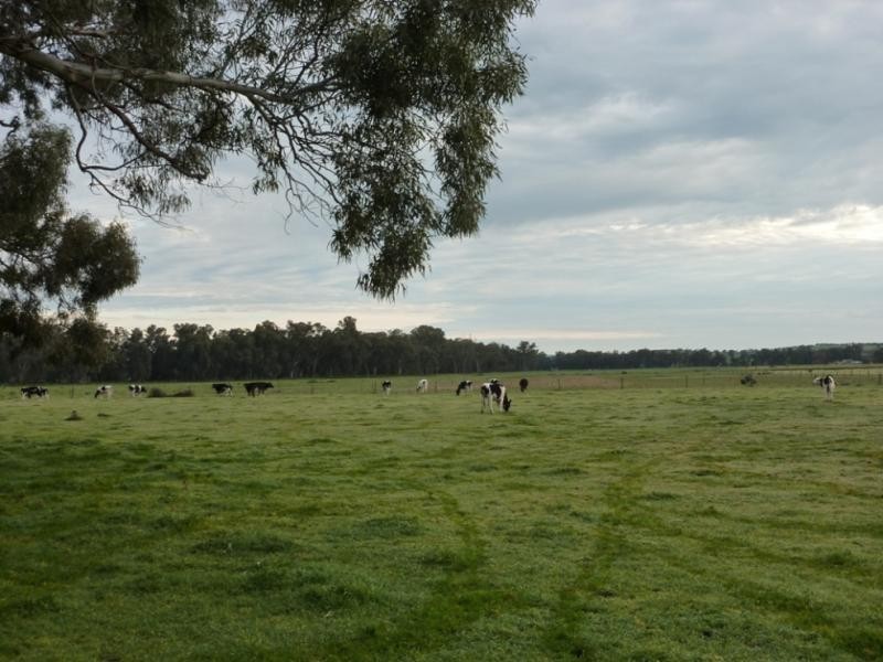 Wagga Wagga NSW 2650