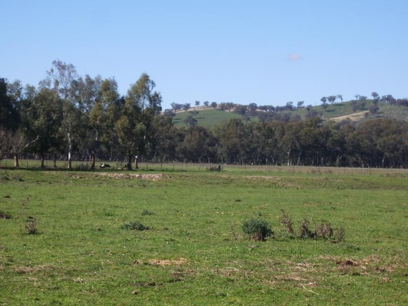 Wagga Wagga NSW 2650