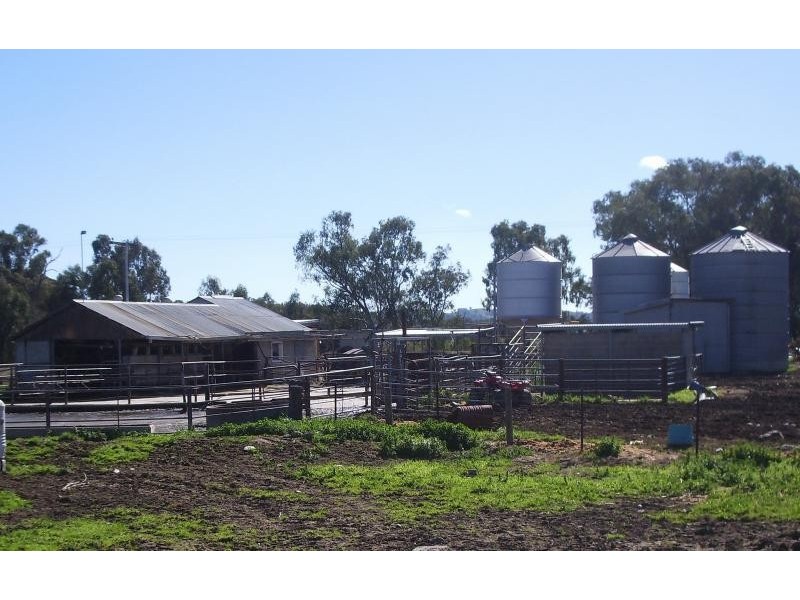 Wagga Wagga NSW 2650