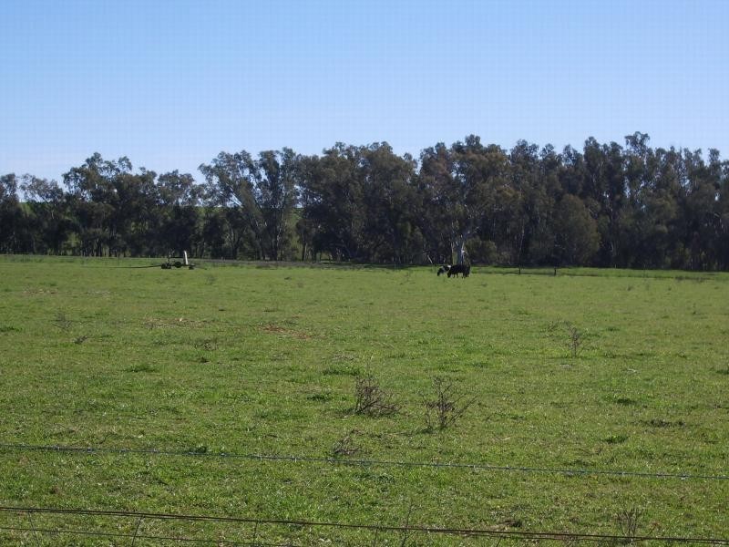 Wagga Wagga NSW 2650