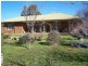 136 Park Lane, Junee NSW 2663