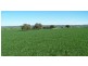 136 Park Lane, Junee NSW 2663