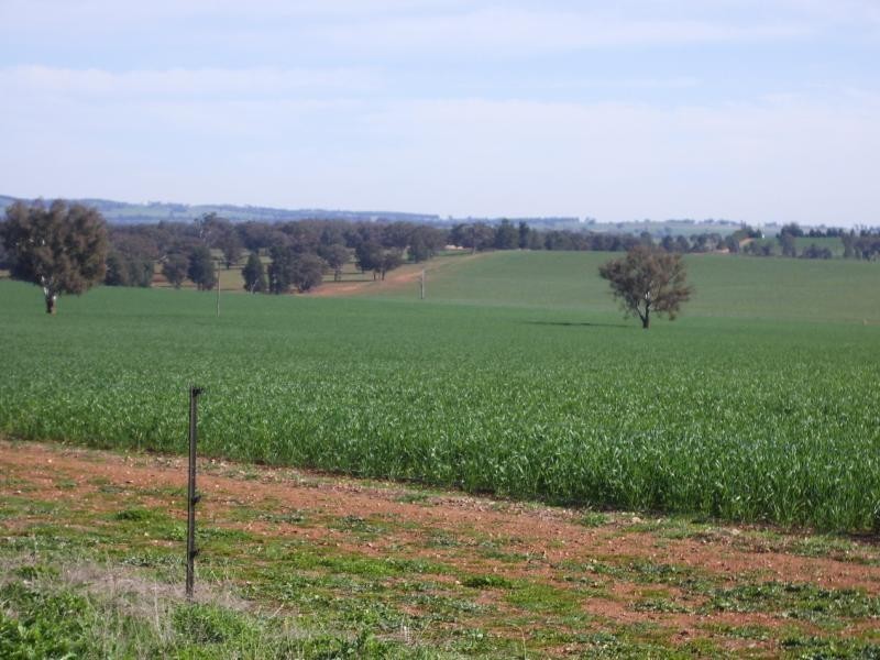 Wagga Wagga NSW 2650