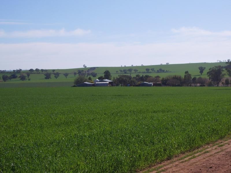 Wagga Wagga NSW 2650