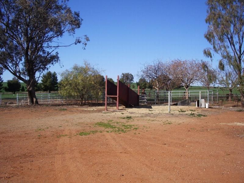 Wagga Wagga NSW 2650