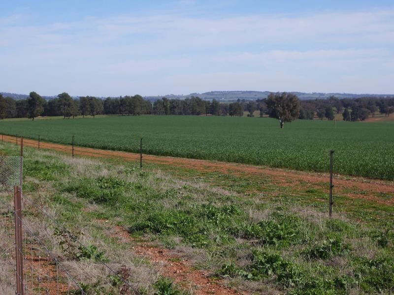 Wagga Wagga NSW 2650