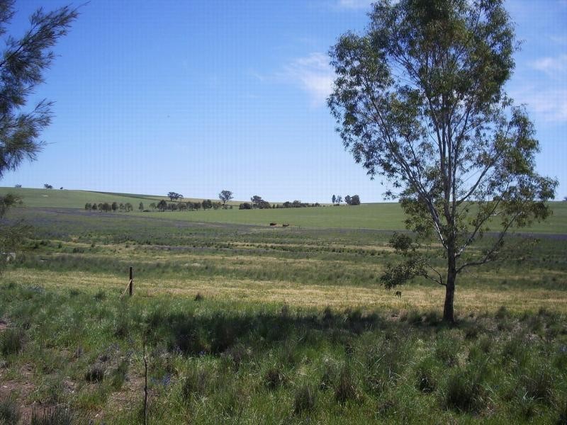 826 Coursing Park Road, Wagga Wagga NSW 2650