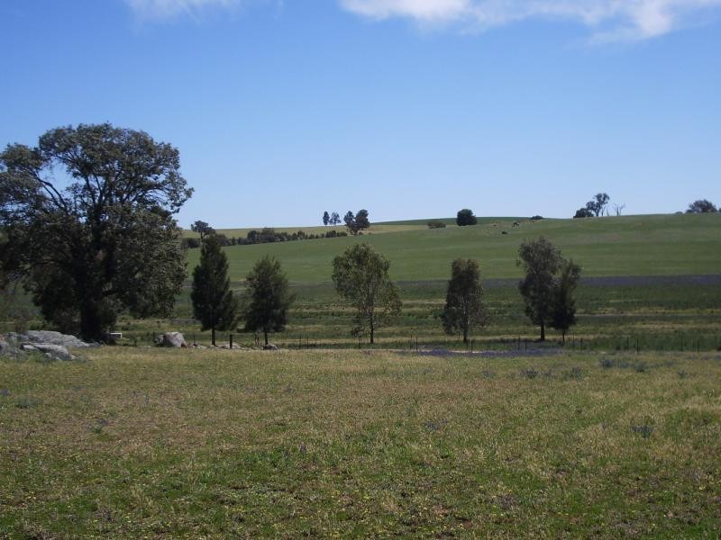 826 Coursing Park Road, Wagga Wagga NSW 2650