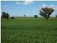 Wagga Wagga NSW 2650