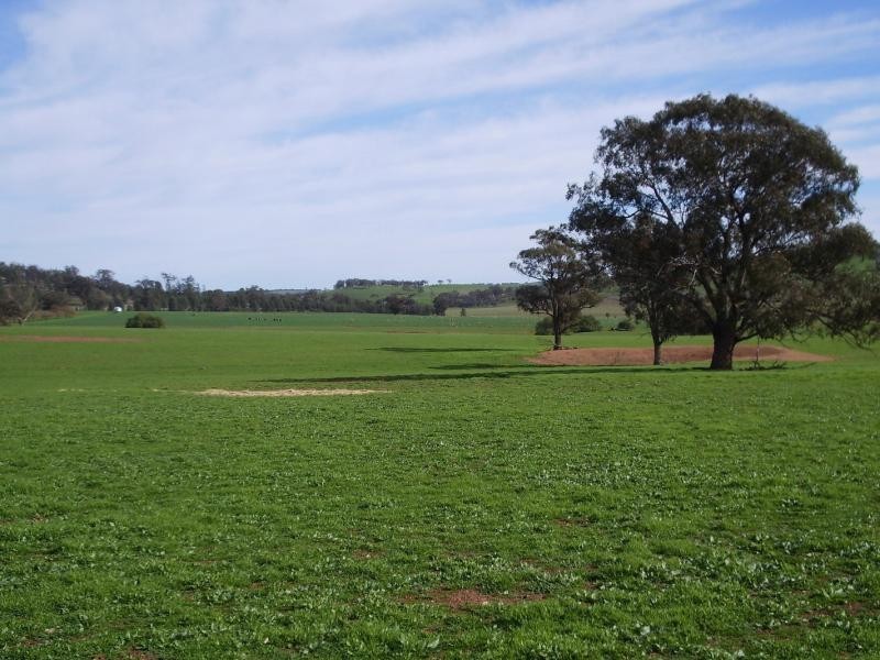 Wagga Wagga NSW 2650
