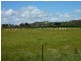 Wagga Wagga NSW 2650
