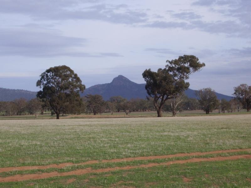 Wagga Wagga NSW 2650