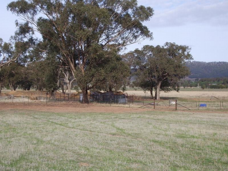 Wagga Wagga NSW 2650