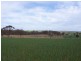 Wagga Wagga NSW 2650