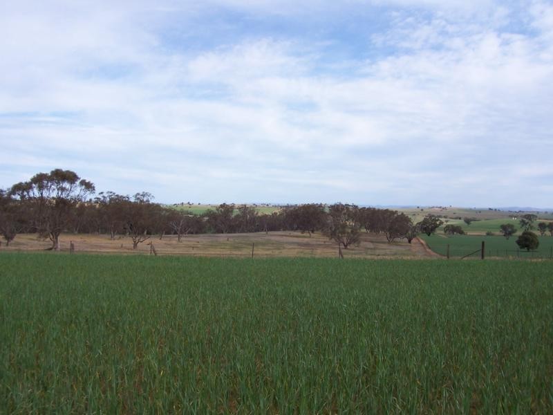 Wagga Wagga NSW 2650