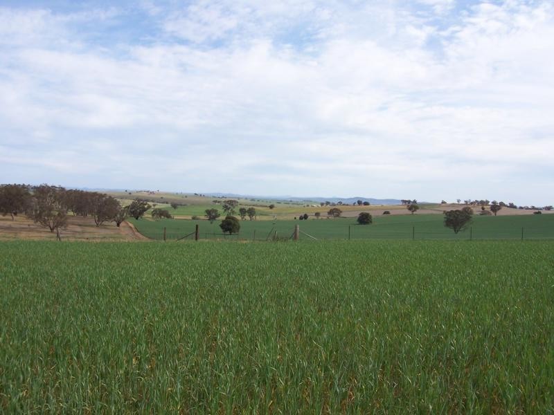 Wagga Wagga NSW 2650