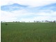 Wagga Wagga NSW 2650