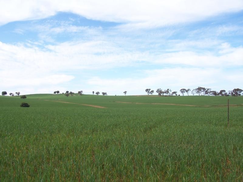 Wagga Wagga NSW 2650