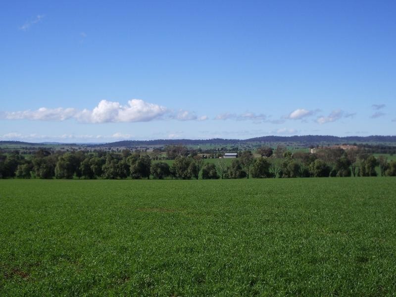 Wagga Wagga NSW 2650