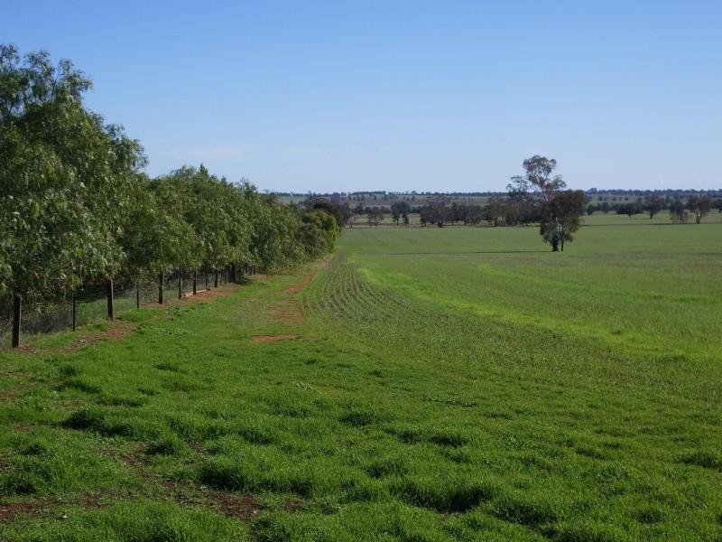 Wagga Wagga NSW 2650