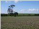 Wagga Wagga NSW 2650