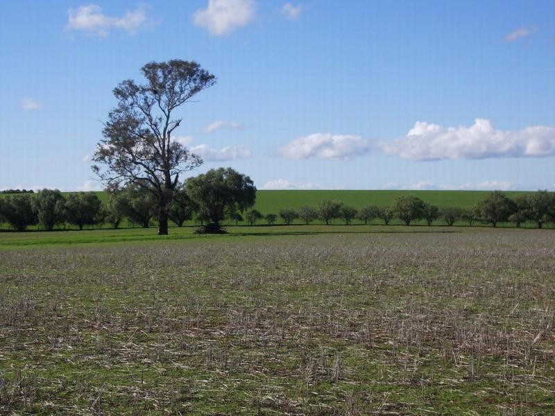 Wagga Wagga NSW 2650