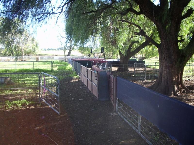 Wagga Wagga NSW 2650