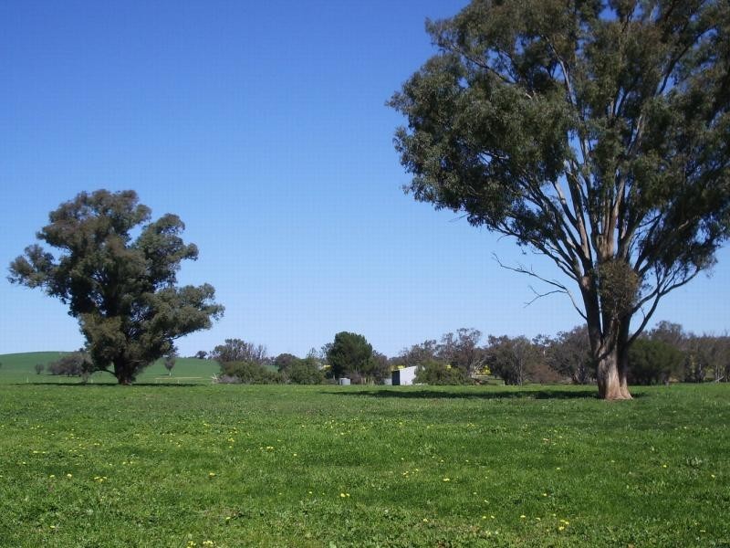 Yerong Creek NSW 2642