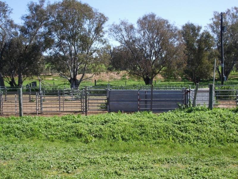 Yerong Creek NSW 2642