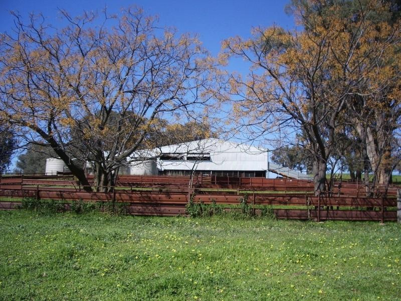 Wagga Wagga NSW 2650