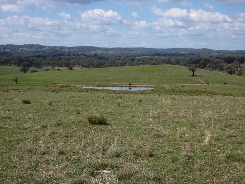 Wagga Wagga NSW 2650