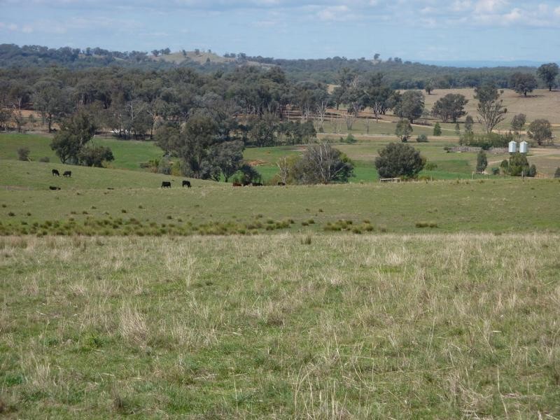 Wagga Wagga NSW 2650