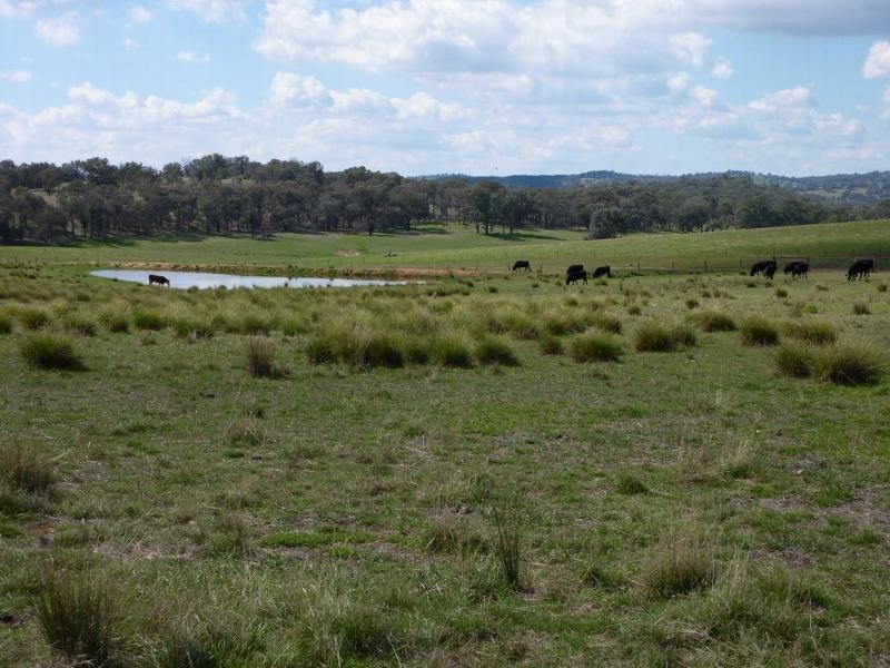 Wagga Wagga NSW 2650