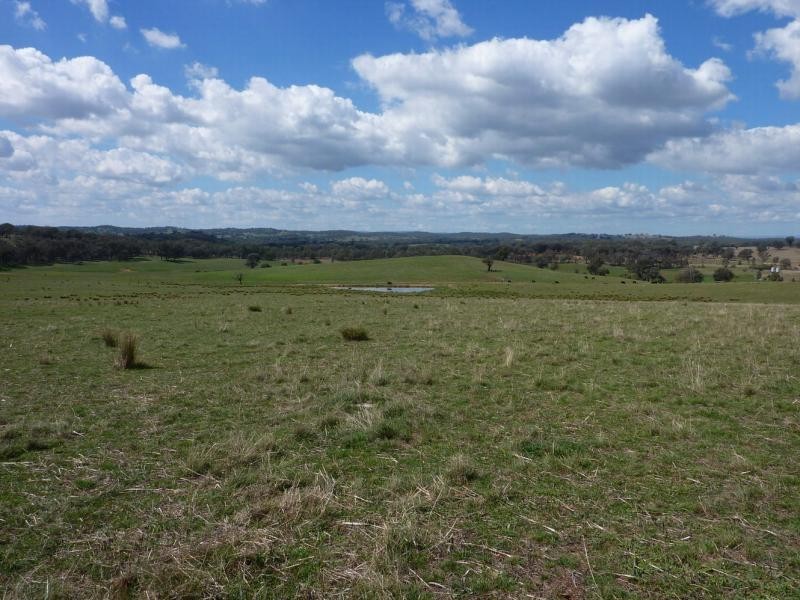 Wagga Wagga NSW 2650