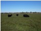 Eurongilly NSW 2663