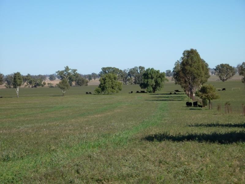 Eurongilly NSW 2663