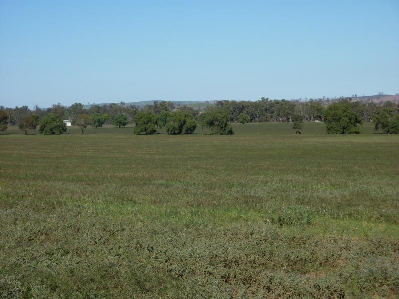 Eurongilly NSW 2663