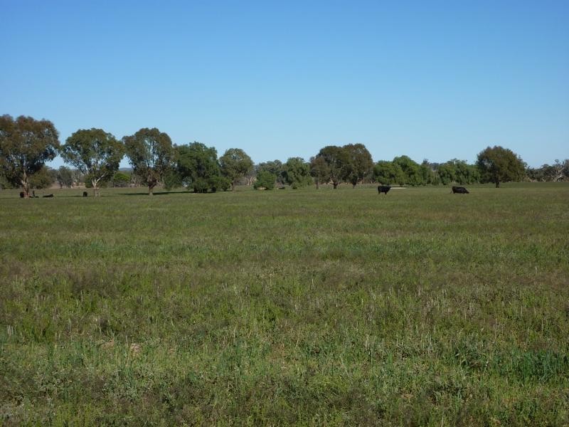 Eurongilly NSW 2663
